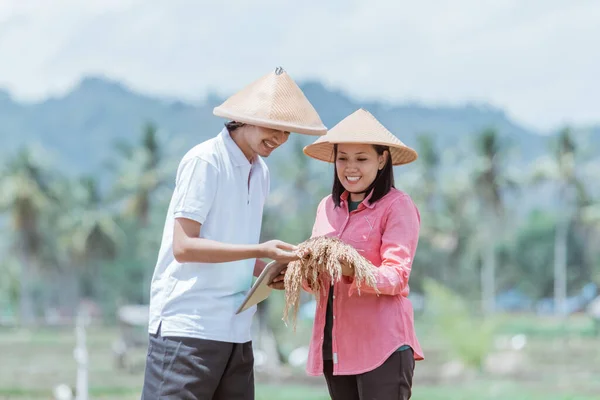 二人のアジアの農民は幸せな気分です素敵な稲を持ちながらタブレットで立って — ストック写真
