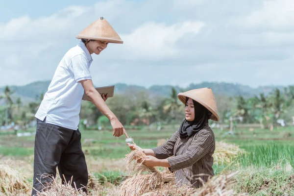 El agricultor asiático masculino usa la tableta con el dedo apuntando al arroz producido por las agricultoras — Foto de Stock