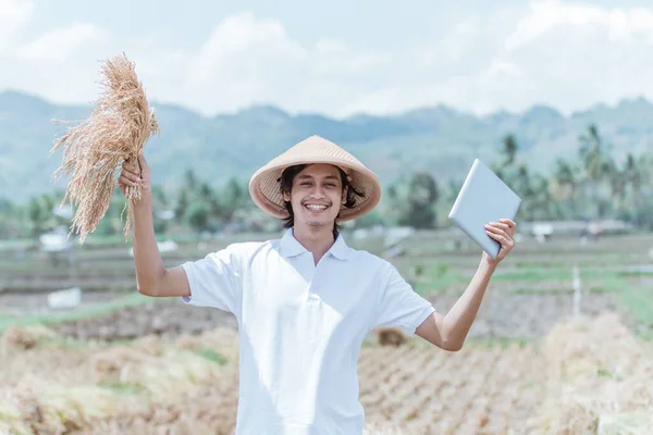 he farmer wearing a hat raises his hand when carrying rice plants and tablet