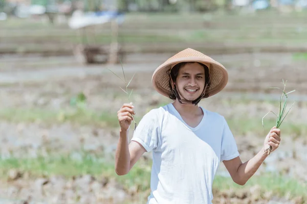 帽子をかぶったアジアの農家の笑顔が稲を抱く — ストック写真