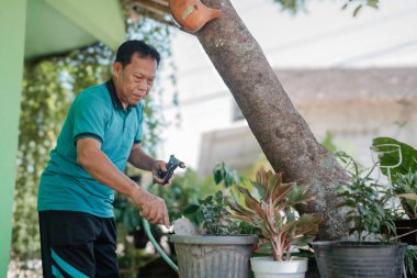 Yaşlı bir adam, güneşli bahçedeki canlı bitkileri sevgiyle suluyor.
