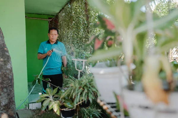 Kendini işine adamış bir bahçıvan dışarıda sakin ve sakin bir ortamda canlı bitkileriyle ilgilenir.