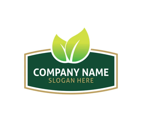Etiqueta Folha Natural Verde Alimento Vetor Logotipo Design Modelo — Vetor de Stock