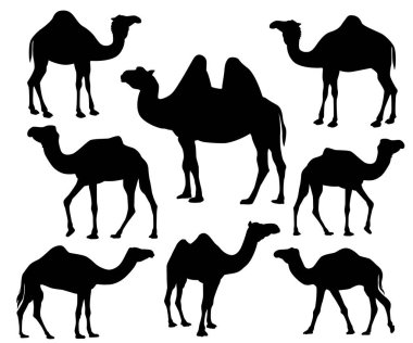 deve siluet vektör simgesi logo tasarım şablonu ayarlama
