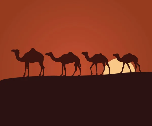 Kameel Herder Zonsondergang Woestijn Landschap Vector Achtergrond Illustratie Thema — Stockvector