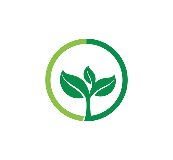 Agricultura Brote Natural Planta Fértil Vector Para Plantilla Diseño Logotipo — Archivo Imágenes Vectoriales