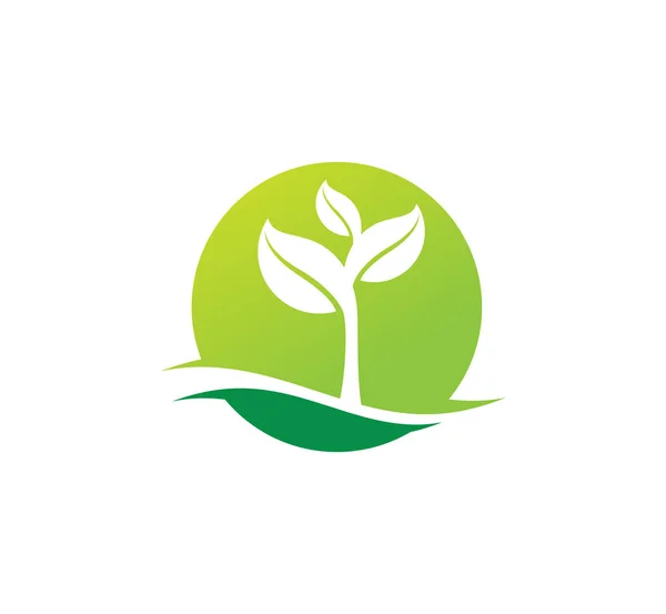 Agricultura Brote Natural Planta Fértil Vector Para Plantilla Diseño Logotipo — Archivo Imágenes Vectoriales