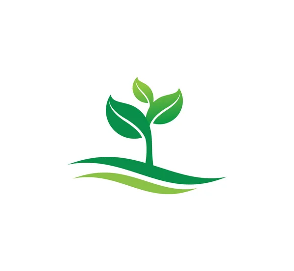Tarım Doğal Bitki Verimli Vektör Logo Tasarım Şablonu Için Filiz — Stok Vektör