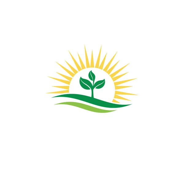 Agricultura Planta Broto Natural Vetor Fértil Para Modelo Design Logotipo — Vetor de Stock