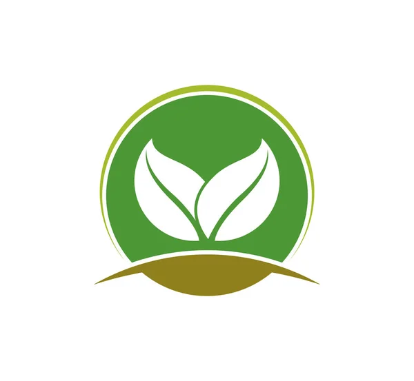 Agricultura Planta Natural Vector Fértil Para Plantilla Diseño Logotipo — Vector de stock