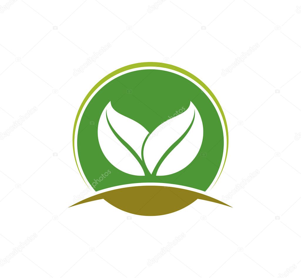 Agriculture natural plant fertile vector for logo design template