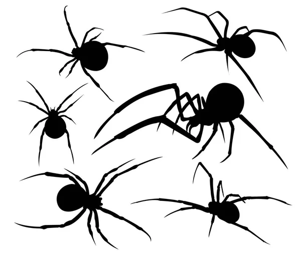 Örümcek Zehirli Siluet Illüstrasyon Vektör Logo Tasarım Şablonu — Stok Vektör