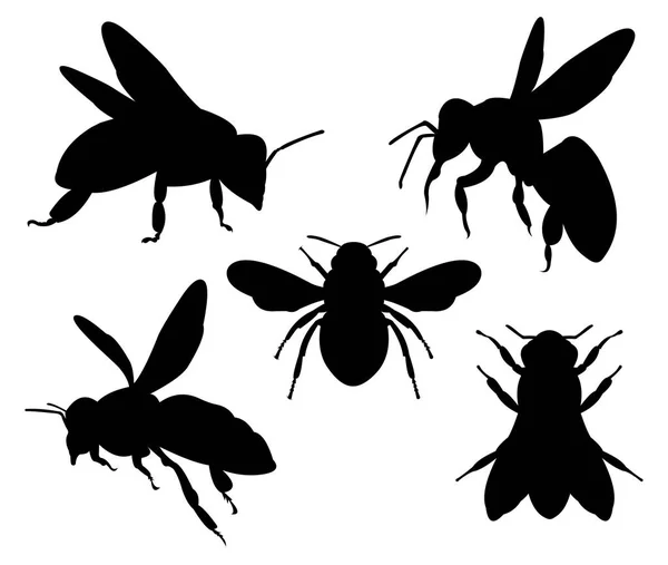 Honey Bee Silueta Charakter Vektorové Logo Design Šablony Inspirace Pro — Stockový vektor