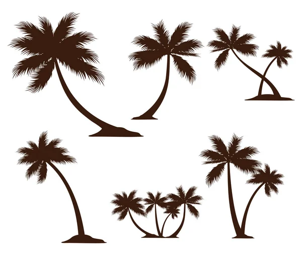 Detailed Coconut Tree Silhouette Illustration Vector Logo Design Inspiration Brand — Stock Vector