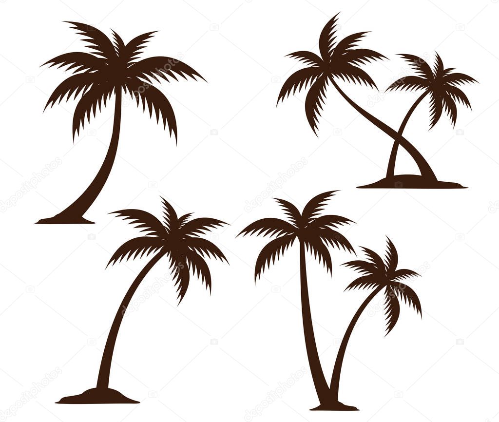 detailed coconut tree silhouette illustration vector logo design inspiration for brand identity template, pattern and more