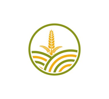 Tarım organik bitki pirinç alan vektör simge logo tasarım şablonu