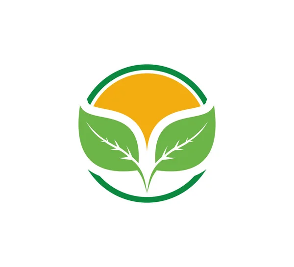 Сельское Хозяйство Науки Технологии Органические Векторные Иконки Логотипа Шаблона — стоковый вектор