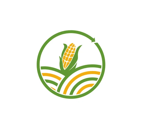 Landwirtschaft Organische Pflanze Gartenbau Gemüse Feld Vektor Symbol Logo Design — Stockvektor