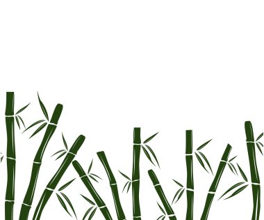 green bamboo branch and leaf vector background design template