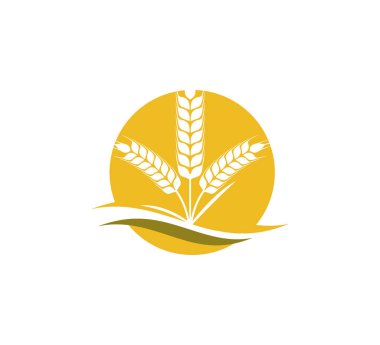 buğday otu daire vektör simgesi logo tasarım içinde