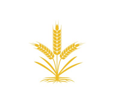 buğday otu ile güçlü kök vektör simgesi logo tasarım