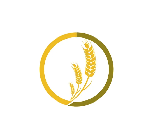 Wheat nettle inside circle vector icon logo design — Stock Vector