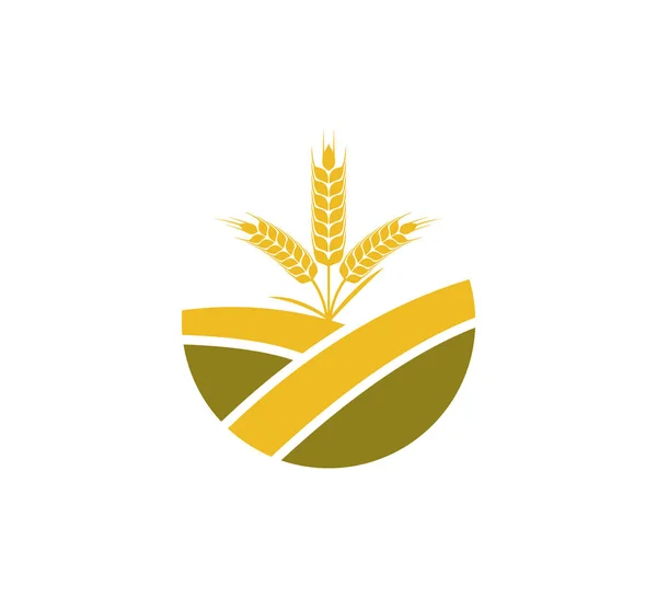 Tarwe brandnetel in top van veld boerderij vector pictogram logo ontwerp — Stockvector