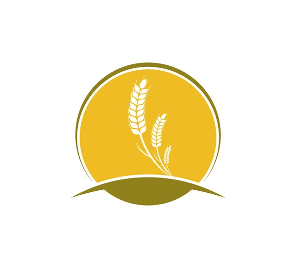 Wheat nettle inside circle vector icon logo design — Stock Vector