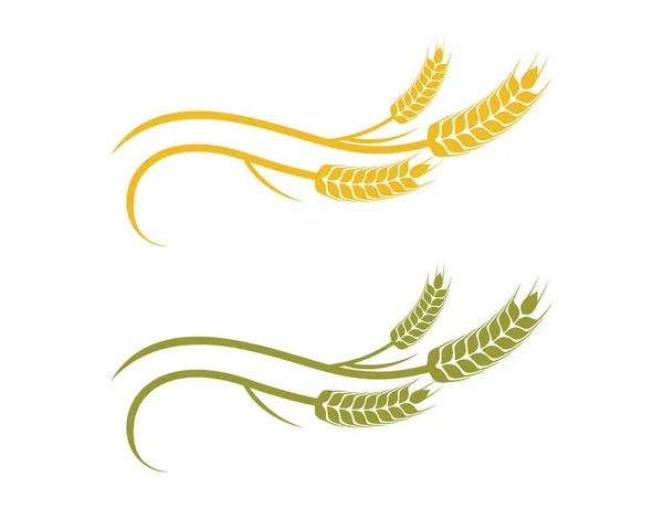 Diseño o ilustración del logotipo del vector de grano de ortiga de trigo — Vector de stock