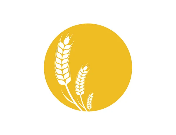 Wheat nettle grain in circle shape vector logo design — Stock Vector