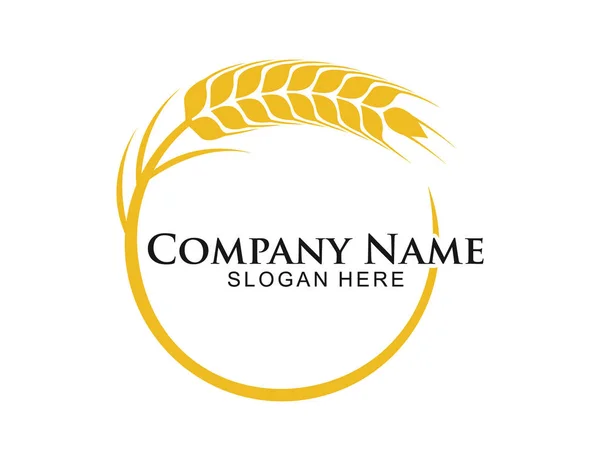 Buğday otu tahıl daire şekli vektör logo tasarımı — Stok Vektör