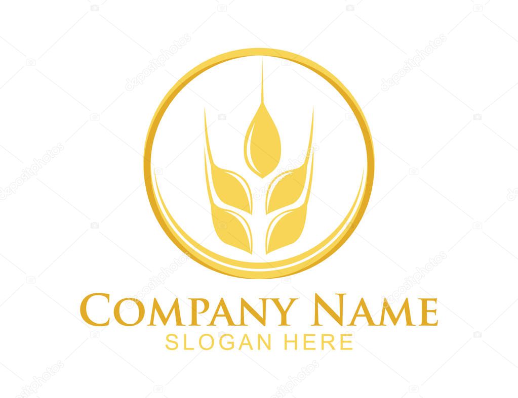 wheat nettle grain in circle shape vector logo design