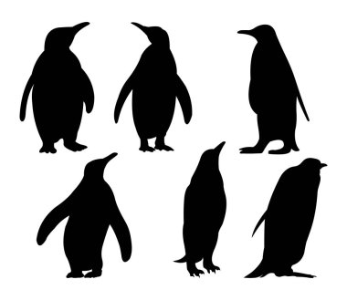 sevimli penguen siluet vektör tasarım illüstrasyon