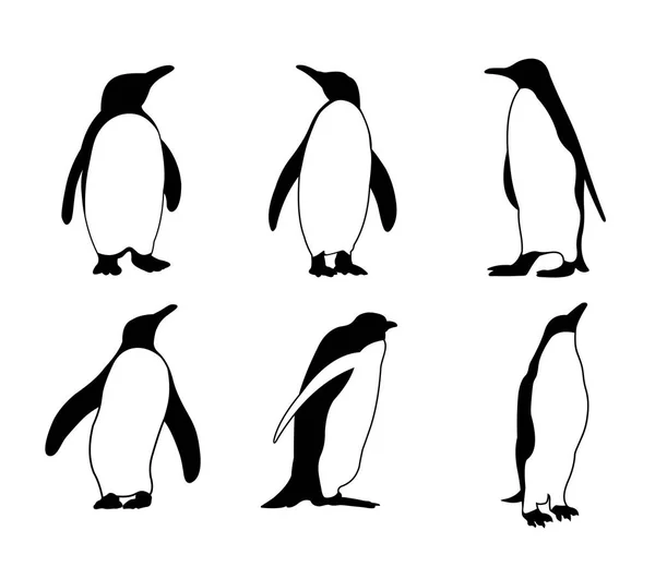 可爱的企鹅剪影矢量设计插图 — 图库矢量图片