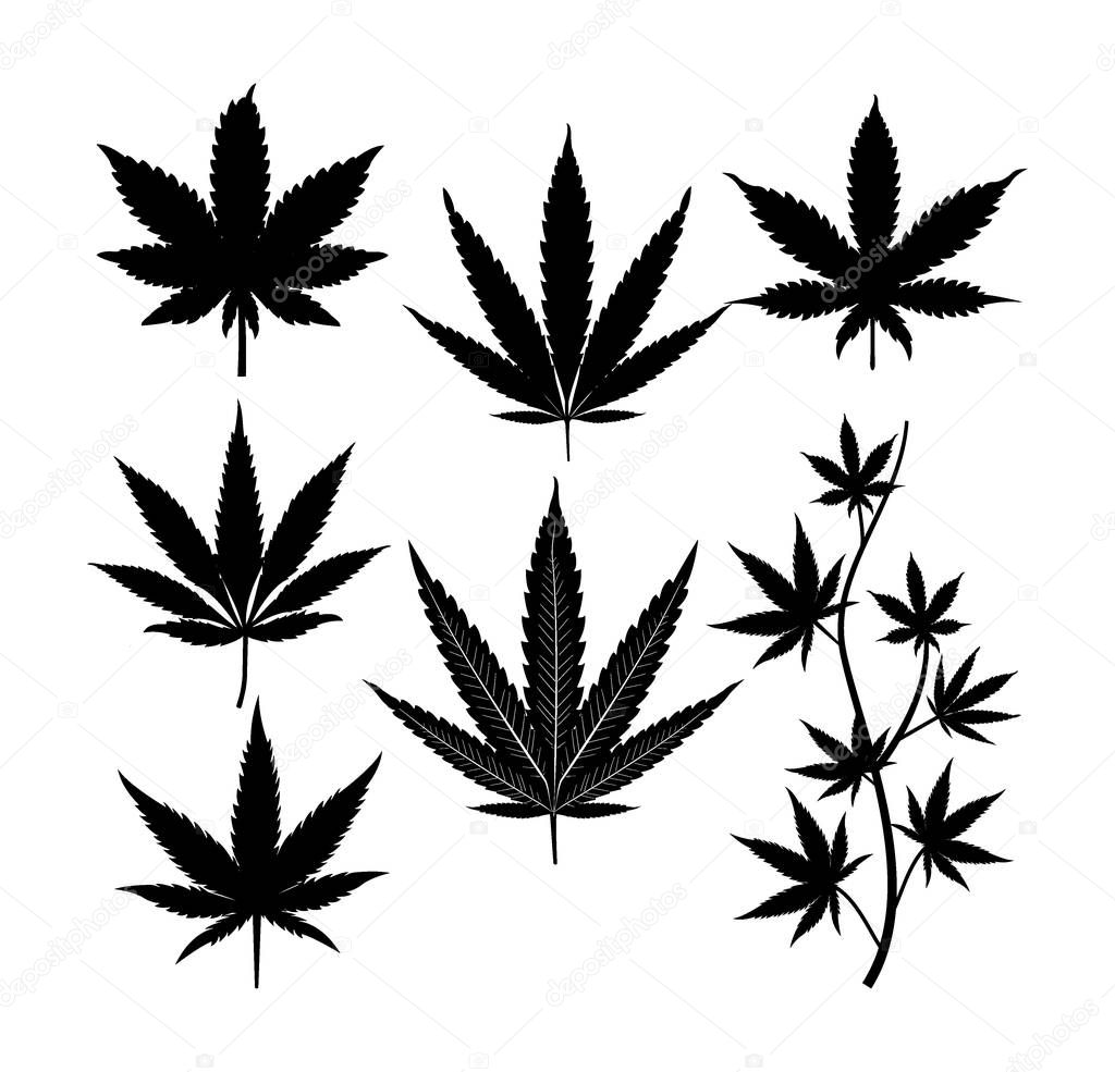 Cannabis marijuana leaf silhouette illustration vector logo design template