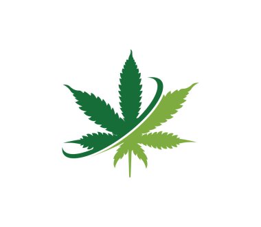 esrar kenevir yaprak vektör logosu arka plan ile şablon