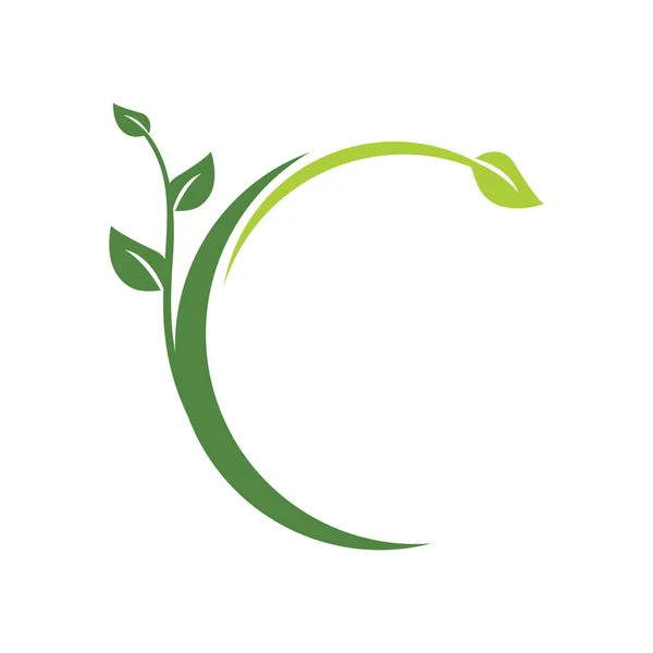 Tarımsal botanik yeşil daire çay yaprağı vektör logosu tasarımı — Stok Vektör