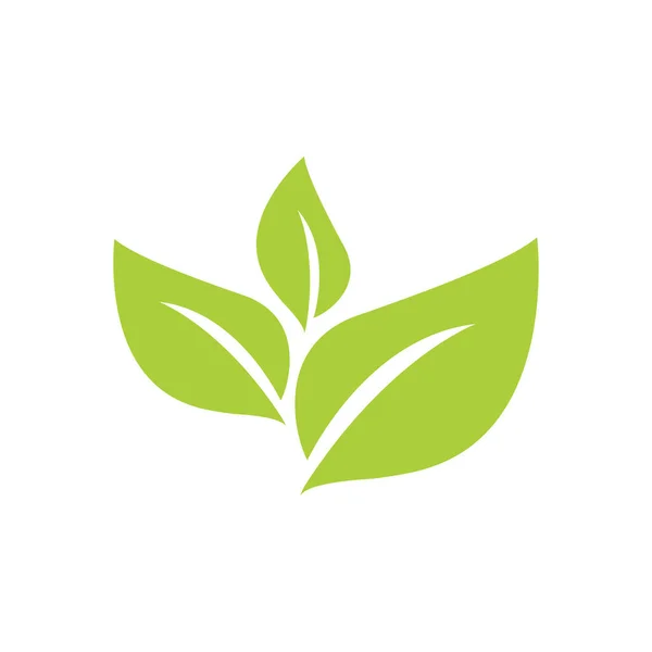 Landwirtschaft Botanik Grüner Tee Blatt Vektor Logo Design — Stockvektor