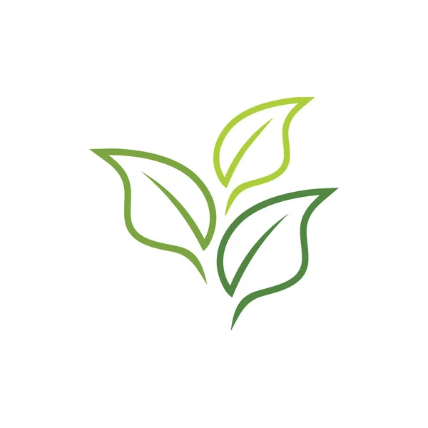Landwirtschaft Botanik Grüner Tee Blatt Vektor Logo Design — Stockvektor