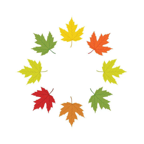 Maple leaf red to yellow arranged into circle vector illustration design — Stock Vector