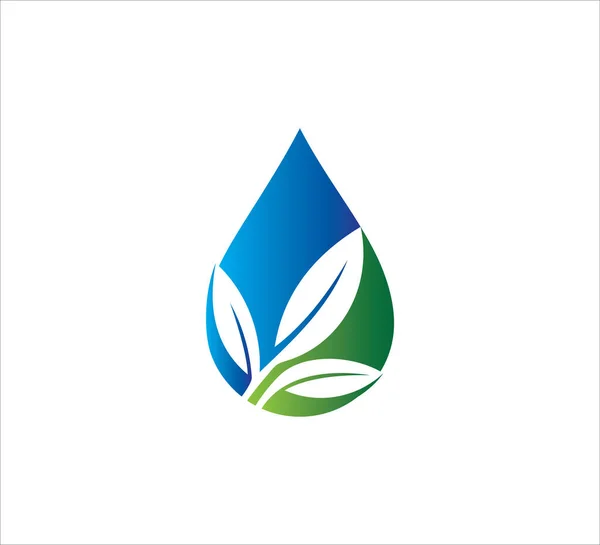 Folha Verde Dentro Ícone Vetor Gota Água Modelo Design Logotipo — Vetor de Stock