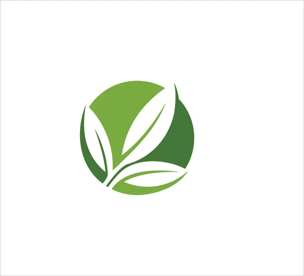 Grünes Blatt Innerhalb Kugel Vektor Symbol Logo Design Vorlage Für — Stockvektor