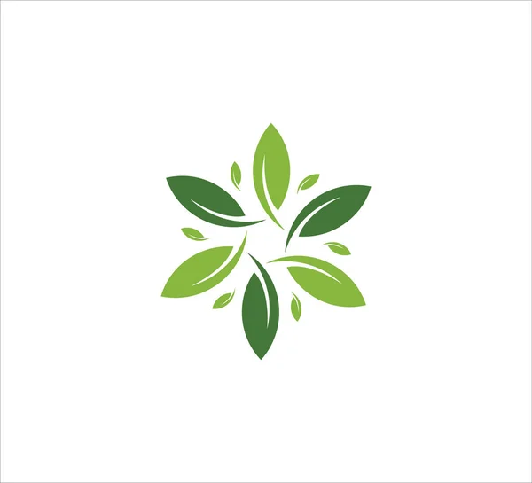 Grünes Blatt Kreis Vektor Symbol Logo Design Vorlage Für Landwirtschaft — Stockvektor