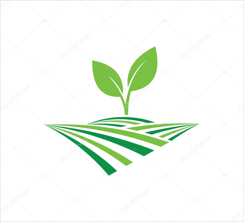 Sprout leaf growing in the farm land soil vector icon logo design template for agriculture, food crop, hydroponic nursery and farm business