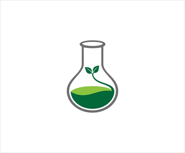 Chemické Sklo Rostlinnou Klíčkovou Kapustou Zelené Kapaliny Pro Návrh Loga — Stockový vektor