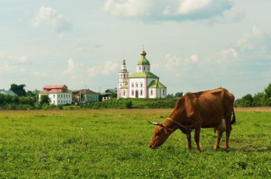 Suzdal. Gold Ring of Russia. clipart