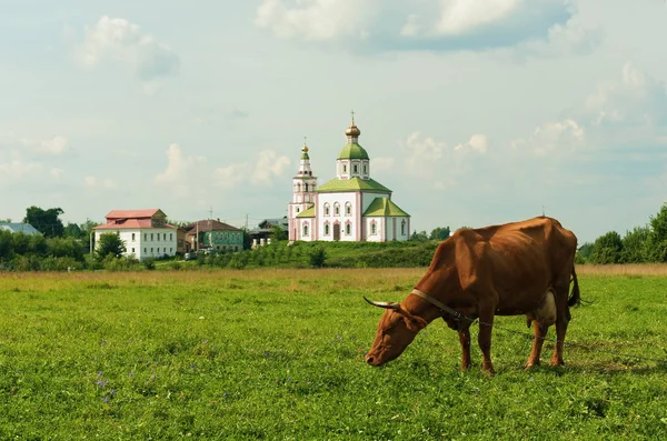 Suzdal Rusya Nın Altın Yüzük — Stok fotoğraf