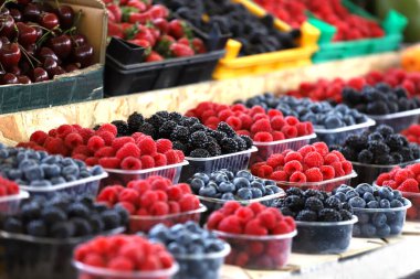 Plastik kaselerde pazarda ahududu, yaban mersini ve böğürtlen. Meyve deseni.