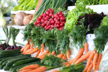 Pazarda çeşitli sebzeler. Salatalar, havuçlar, salatalıklar, turplar ve marul. Sebze duvar kâğıdı.