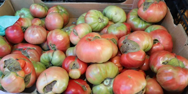 Bio Gartentomaten Auf Dem Bauernmarkt — Stockfoto